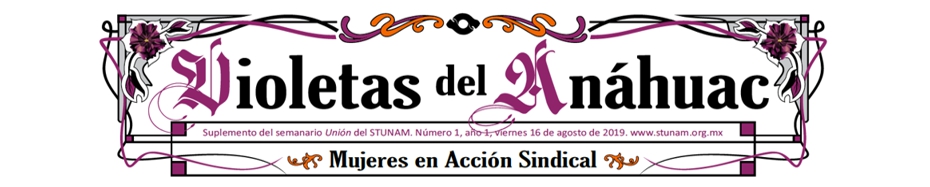 violetas_anahuac